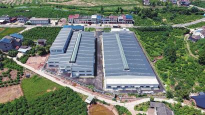 农业“四中心”投用，精准服务万亩粮田，筑牢粮油仓储服务新基石